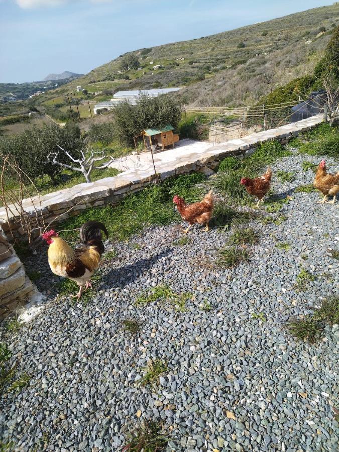 George Farmhouse Chrousa Luaran gambar